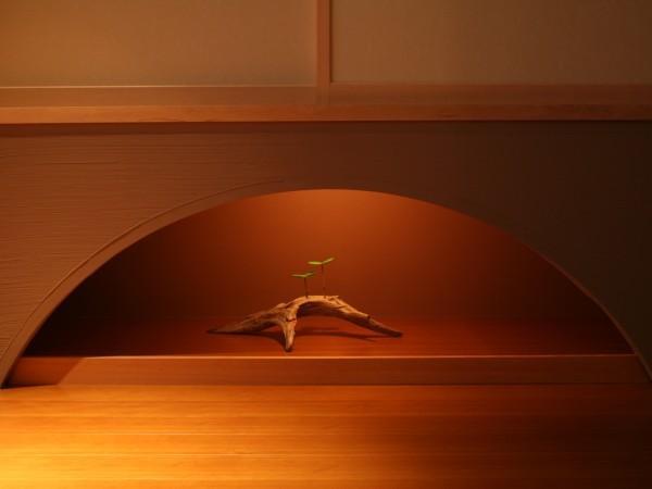 Kosensou Suwa (Nagano) Ngoại thất bức ảnh